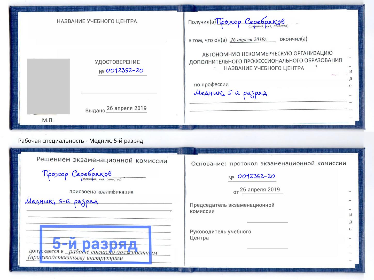 корочка 5-й разряд Медник Новошахтинск