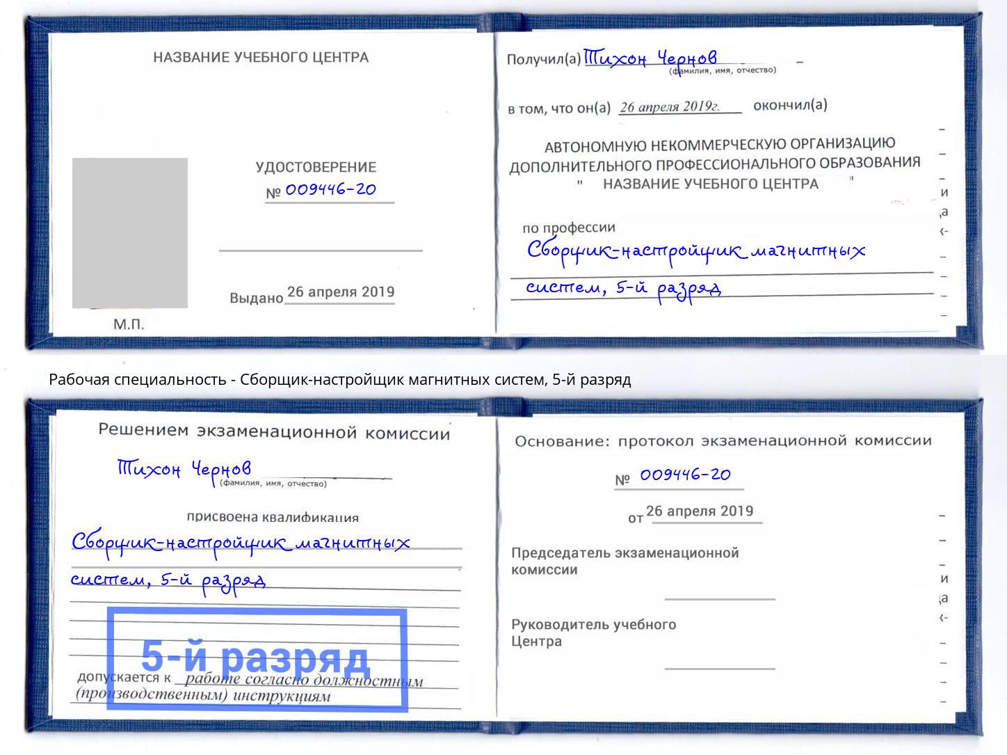 корочка 5-й разряд Сборщик-настройщик магнитных систем Новошахтинск